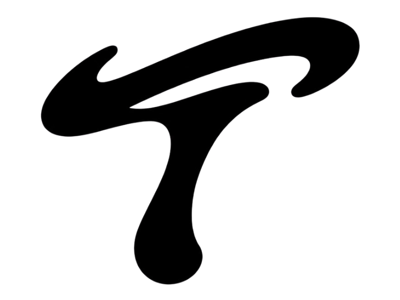 TRINY STUDIOS